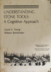 Image of Understanding Stone Tools : A Cognitive Approach